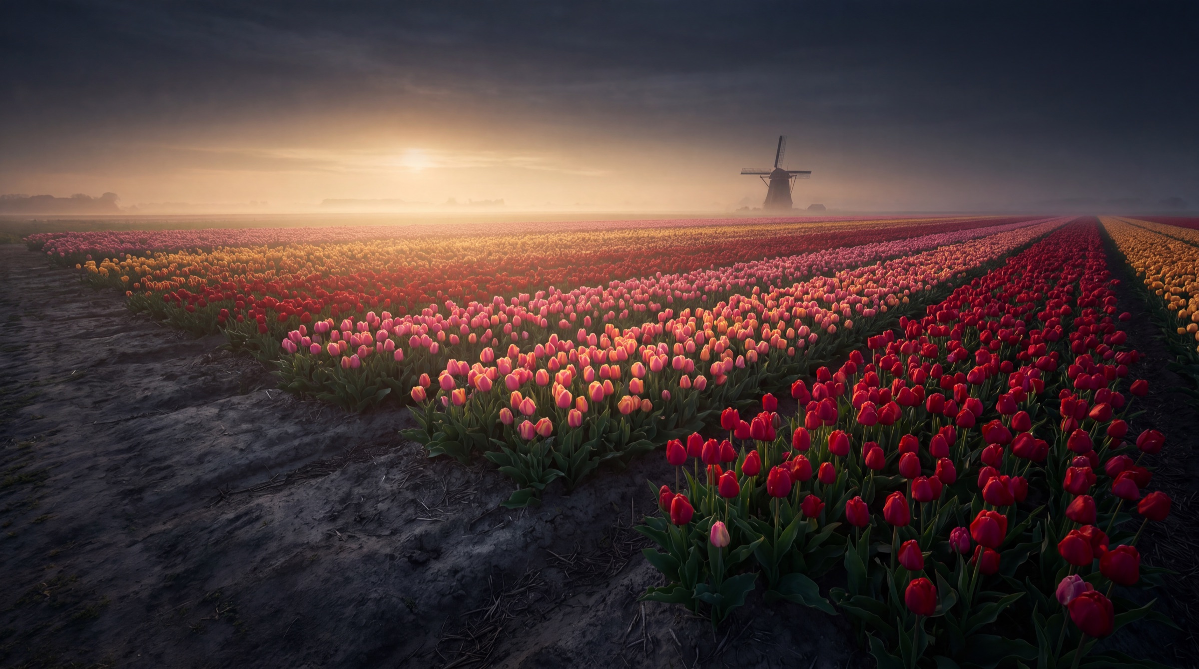 Tour Bloemen & bollenstreek — Keukenhof